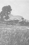 Tribespeople often store grain in small houses to protect it from fire or rats