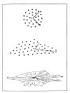 FIGURE 33. <i>A Figure of the Universe</i>.<br> (From <i>The System of the World</i>; John Nichol, 1848.)