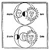 FIGURE 36. <i>Lunar and Solar Eclipses</i>.<br> (From <i>Sphæra Mundi</i>; Joannes Sacro Bosco, Venice, 1482.)