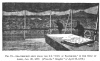 FIG. 72.—SEA-SERPENT SEEN FROM THE S.S. “CITY OF BALTIMORE,” IN THE GULF OF ADEN, JAN. 28, 1879. (<i>From the</i> “<i>Graphic</i>” <i>of April</i> 19, 1879.)