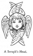 A Seraph's Head.