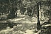 THE MERCED RIVER AT HAPPY ISLES.<BR>
<I>Photo A. C. Pillsbury</I>