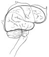 FIG. 2.--THE APPROXIMATE SITUATION OF THE VARIOUS AREAS.