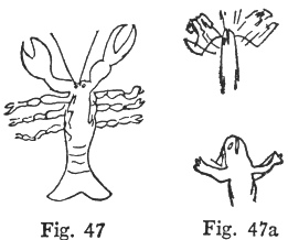 Fig. 47, Fig. 47a