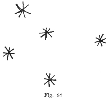 Fig. 64'