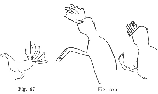 Fig. 67, Fig. 67a