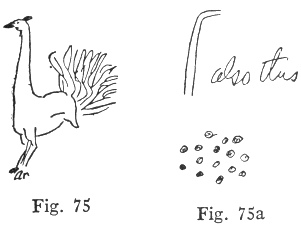 Fig. 75, Fig. 75a